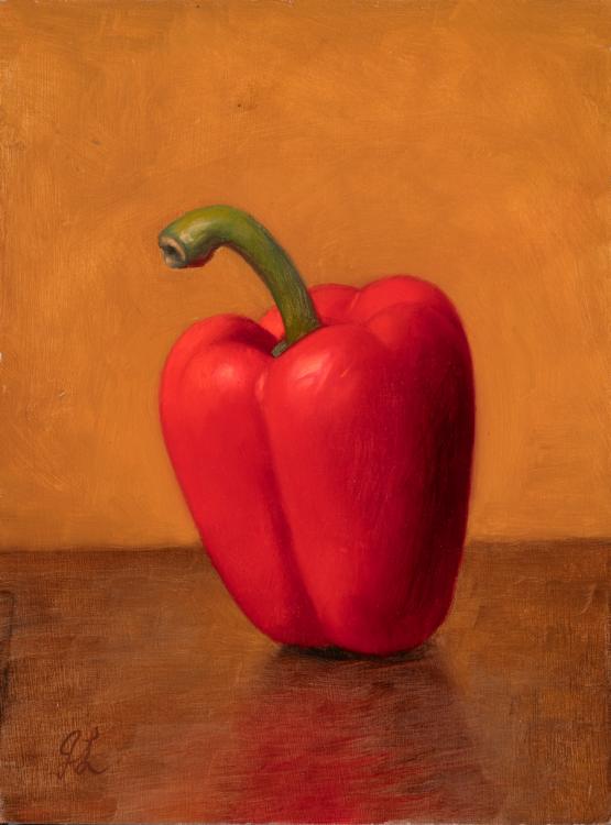 Study of a Red Pepper by Joshua Langstaff