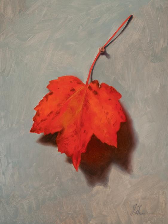 Study of a Red Maple Leaf by Joshua Langstaff