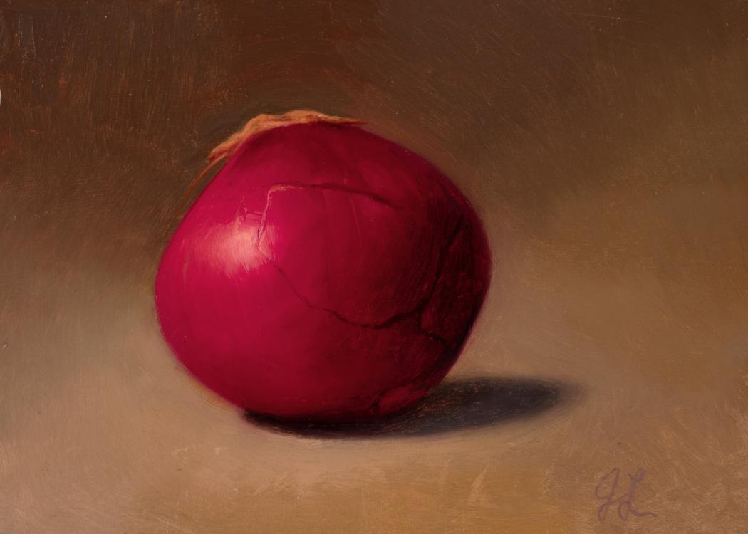 Study of a Red Onion by Joshua Langstaff