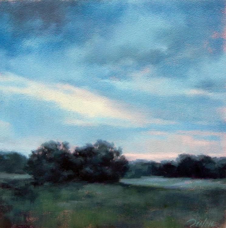 Meadow Sky by Darlou Gams