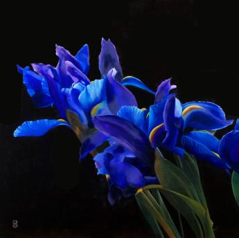 Irises by Paul Beckingham