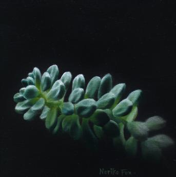 Succulent by Noriko Fox