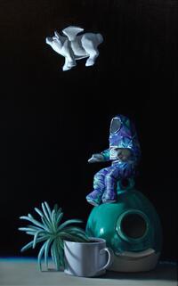 Houston, We Have a Pig by Noriko Fox