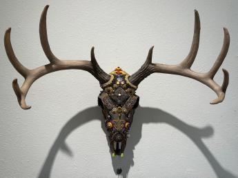 Deer Skull by Helene Bess