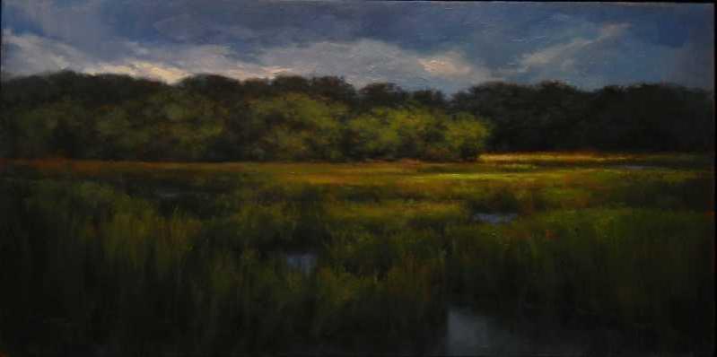 Stormy Marsh by Darlou Gams