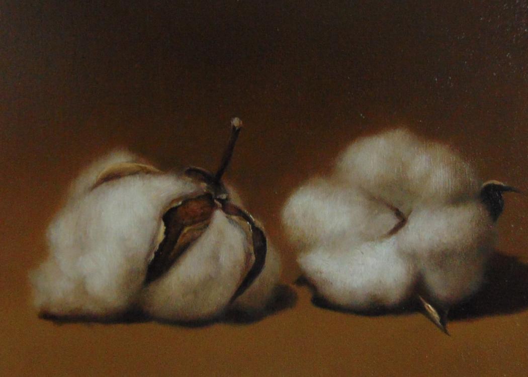 Cotton Fluff by Noriko Fox