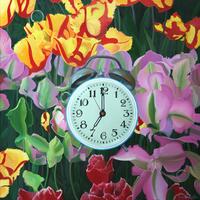 Tulip Time: Five Seconds to Seven by Vincent Amicosante